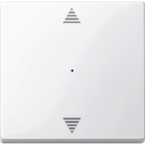Merten 619419 Wippe für Tastermodul 1-fach mit Aufdruck Auf/Ab polarweiß glänzend System M