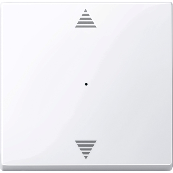 Merten 619425 Wippe für Tastermodul 1-fach mit Aufdruck Auf/Ab aktivweiß glänzend System M