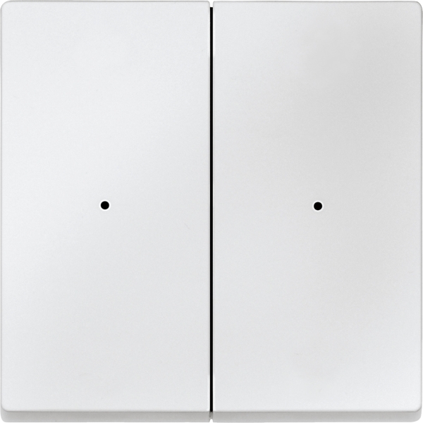 Merten 625219 Wippen für Tastermodul 2-fach polarweiß System M