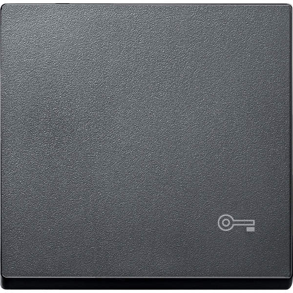 Merten MEG3303-0414 Wippe für Kennzeichnung Schlüssel anthrazit System M