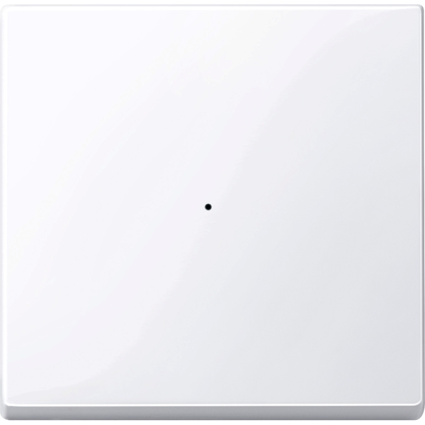 Merten MEG5210-0325 Wippe für Taster-Modul 1-fach aktivweiß glänzend System M
