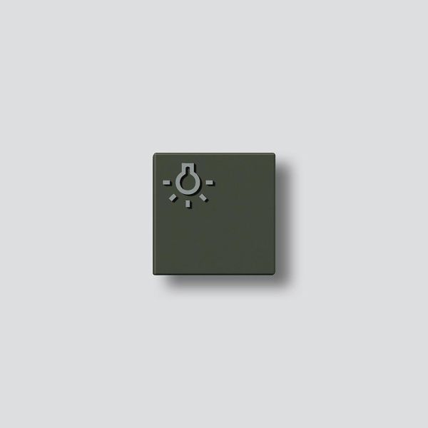 Sonderartikel: Siedle TLM61x-01,BTLM650-...GM Lichttaste mit Lichtsymbol Graphitbraun-Metallic 200029097-00