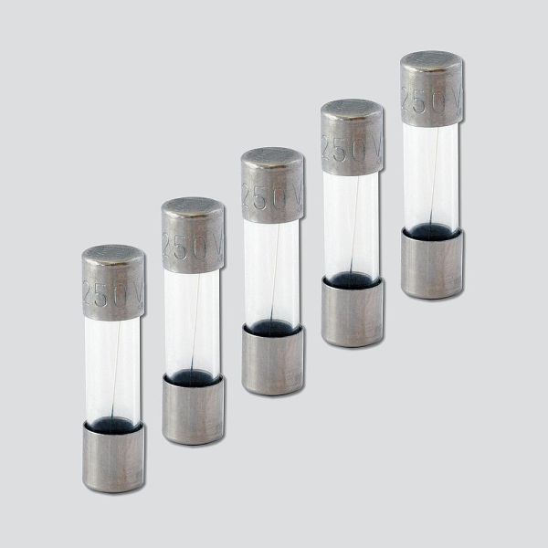 Sonderartikel: Siedle T1,0A Feinsicherung 5 x 20 mm 210007483-00 5 Stück
