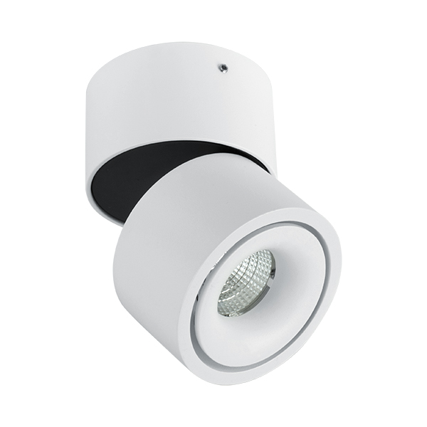 Brumberg 12062173 LED-Anbaustrahler 230V AC 50 Hz 6,2W 34° 3000K rund dreh- und schwenkb
