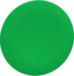 Schneider ZBAF3 Tastenschild für Frontelement flacher Einbau Ø 30mm in grün