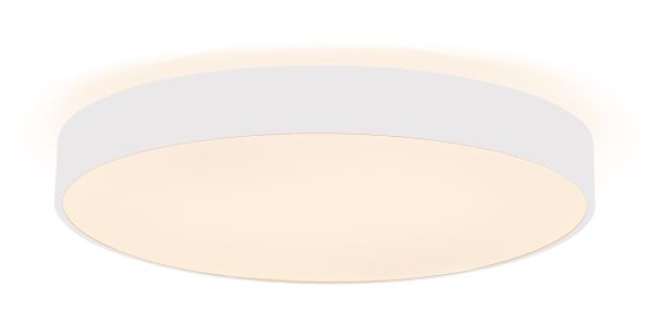 Deko-Light 348206 Decken- und Wandaufbauleuchte, Menkar 800 mm, 90 W, 3000/4000 K, Weiß, 220-240 V