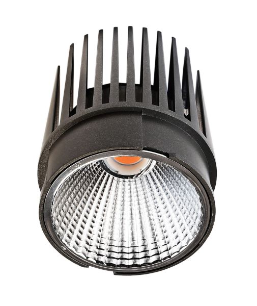 Deko-Light 565352 Downlight, Modular System COB, 31 W, 3000 K, Grau, Stromkonstant, 35-36 V/DC, Be