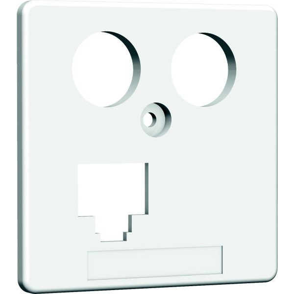 Homeway HAXHSE-G0401-C045 Zentralplatte TV+LAN 50x50mm reinweiß