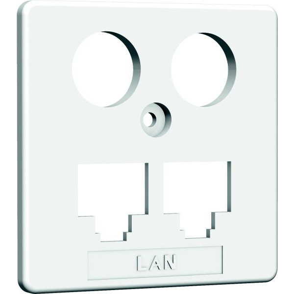 Homeway HAXHSE-G0401-C021 Zentralplatte TV+LAN/LAN 50x50mm