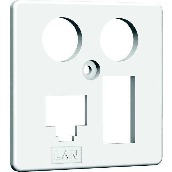 Homeway HAXHSE-G0401-C024 Zentralplatte TV+LAN/TAE 50x50mm