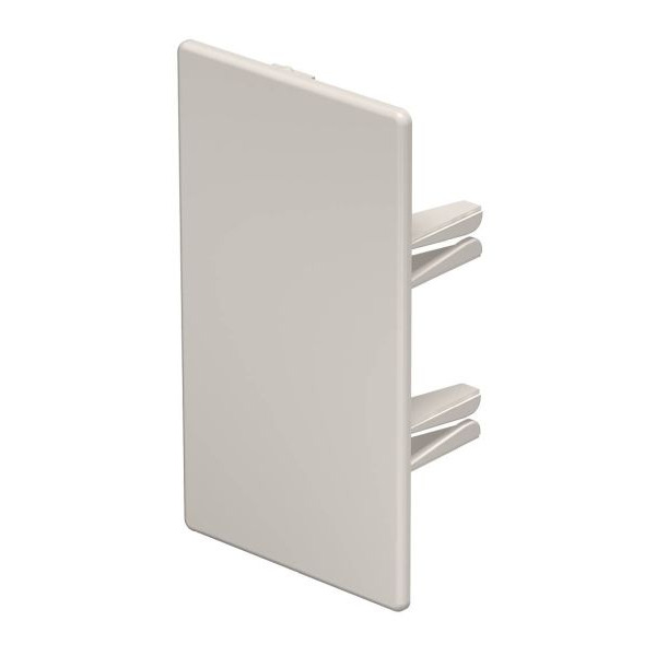 OBO Bettermann 6162827 Endstück 60x110mm WDK HE60110CW