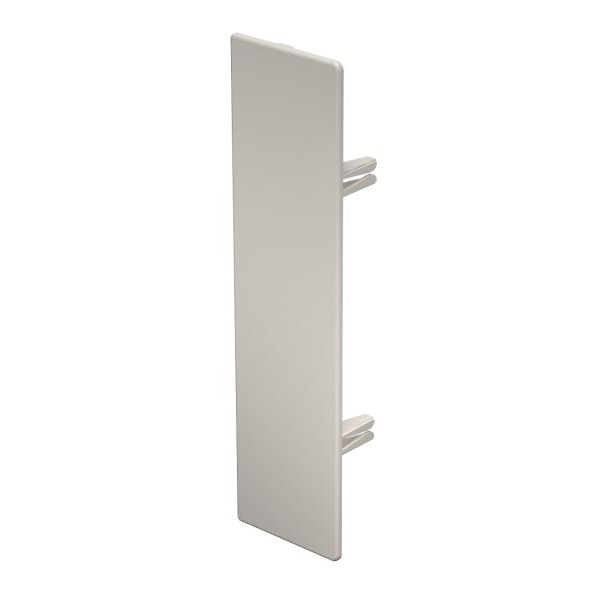 OBO Bettermann 6162886 Endstück WDK HE60230CW 10 Stück