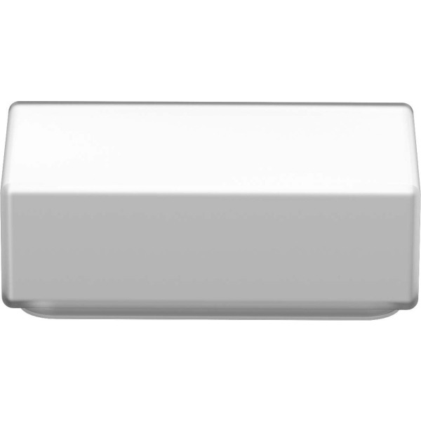 RZB 05-21136 Ersatzglas opal-matt 220x120mm