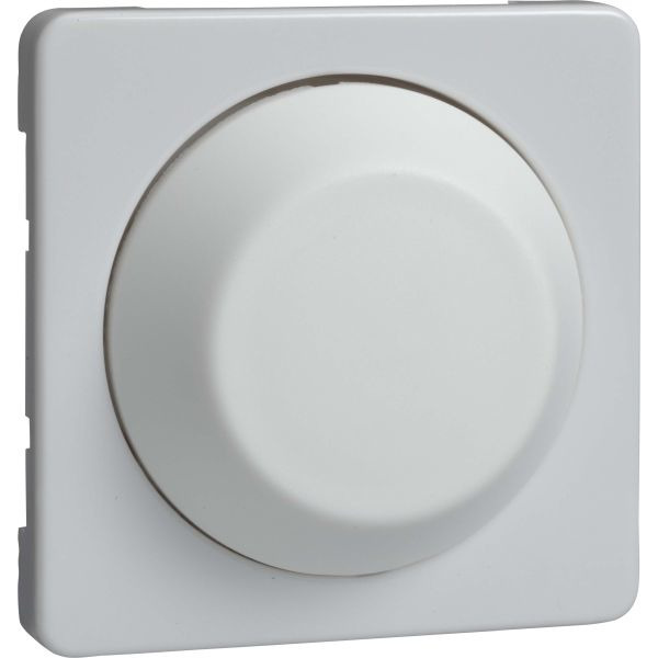 Elso 207014 Zentralplatte rw für Dimmer/Drehknopf