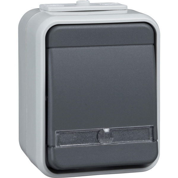 Elso ELG442619 Universaltaster AP 1Wechs bel lichtgrau/dgr